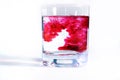 On a white background transparent glasses with water, in each drip red paint. Ink blurs in the water, form beautiful patterns. Royalty Free Stock Photo