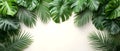 White background with tropical green leaves. Minimal summer concept Royalty Free Stock Photo