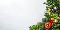 A white background with a variety of vegetables including broccoli, peppers Royalty Free Stock Photo
