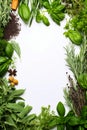 White background with various green vegetables and herbs around it, including herbs, herbs, and spices. Generative AI