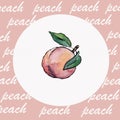 Color watercolor clip art made of peach. Royalty Free Stock Photo