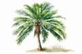 On a white background, a watercolor painting of a lone green palm tree is showcased. AI