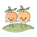 White background with watercolor silhouette of pair of orange fruits caricature over grass
