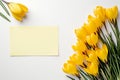 on a white background, yellow crocuses lie on the right, and on the left there is a sheet of light yellow paper for applying text Royalty Free Stock Photo