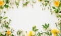 White background with yellow and white flowers forming a frame, perfect for text or design Royalty Free Stock Photo