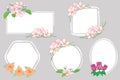 White backgrounds with apple tree flowers and roses - floral vector frames Royalty Free Stock Photo