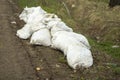 White bags on a rural road. Strengthening the side of the road from the flood. Abandoned waste in the wrong place