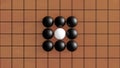 The white ball is enclosed by a black ball.
