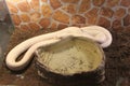 A white ball python snake being handled by a Caucasian woman with red fingernail polish Royalty Free Stock Photo