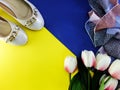 White ballet flat lady shoes on yellow and blue background Royalty Free Stock Photo