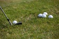 Golf tournament - golf balls and iron stick Royalty Free Stock Photo