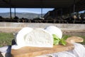 White balls of Italian soft cheese Mozzarella di Bufala Campana and Mediterrane Italiana buffalo raised on Italian cheese farm for Royalty Free Stock Photo