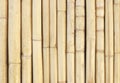 White bamboo fence texture background, pattern of natural wall for design art work Royalty Free Stock Photo