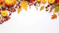 White banner with copy space - border from various colorful autumnal leaves, berries and pumpkins