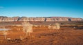 White bare trees at Sand Hollow state park, Utah Royalty Free Stock Photo