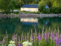 white barn on the edge of the fjord