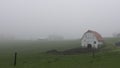 White barn on a foggy morning Royalty Free Stock Photo
