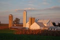 A white barn is surrounded by fertile farmland