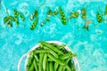 White Basket with fresh green peas on blue background Royalty Free Stock Photo