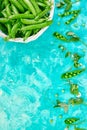 White Basket with fresh green peas on blue background Royalty Free Stock Photo