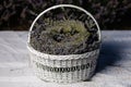 White basket of lavender flowers with selective focus on a blurred background. Copy space Royalty Free Stock Photo