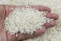 White basmati rice grain made in Myanmar, Asia. Rice is the seed of the grass species Oryza glaberrima or Oryza sativa Royalty Free Stock Photo