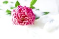 White bath with milk and a rose. Splashing milk. Relaxation and harmony. Spa concept with flowers, relax