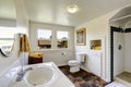 White bathroom with contrast brown tile floor