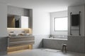 White bathroom corner, gray tub and sinks Royalty Free Stock Photo