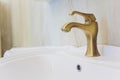White bathroom interior close view sink, crane, valves and rich decorated carved gold and silver plated mirror. Royalty Free Stock Photo