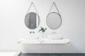 White bathroom interior with two mirrors, decorative plant, shower and other items. Lifestyle, hotel and design concept. 3D