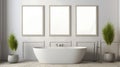 Neoclassical Bathroom With 3d Mock-up Panels