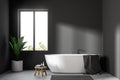 White bathtub minimalistic gray bathroom, plant Royalty Free Stock Photo