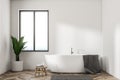 White bathtub minimalistic white bathroom, plant Royalty Free Stock Photo