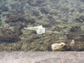 White beach sunshade umbrella down in water in coastline with part of beach top view