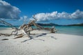 White beach of the Whitsunday Islands in Australia, which consists of 99 percent quartz sand, and the azure blue sea