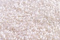 White beads background, ÃÂloseup beads Royalty Free Stock Photo