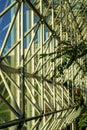 White beams inside of greenhouse scaffolding with geomertric patterns and shade or shadow with glass exterior