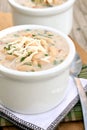 White Bean Chicken Chili Royalty Free Stock Photo