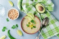 White bean chicken chili Royalty Free Stock Photo