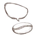 White bean coffee bubble icon