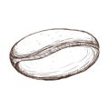 White bean coffee icon design