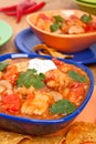 White bean turkey chili Royalty Free Stock Photo