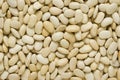 White beans background Royalty Free Stock Photo