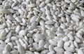 White beans, full frame photo Royalty Free Stock Photo