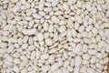 White beans, haricot beans background, top view. Various dried legume beans for background. Wallpaper of white ripe beans. Healthy Royalty Free Stock Photo