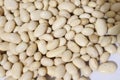 White beans -immature white kidney beans