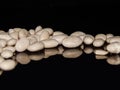 White beans isolated in black reflective background