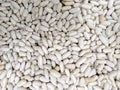 White beans spread out on a table in a market setting during daylight hours Royalty Free Stock Photo