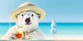 White bear in hat with glass of cocktail on sea beach background with clear sunny sky Royalty Free Stock Photo